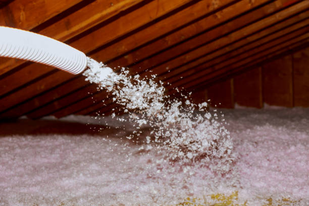 Insulation Inspection Services in Strawberry Point, IA